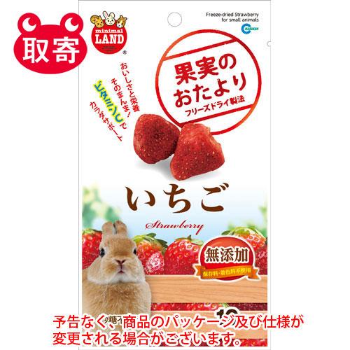 在庫処分 ・果実のおたより　いちご　１０ｇ　ペット用品　小動物　うさぎ　モルモット　おやつ　間食　フ...