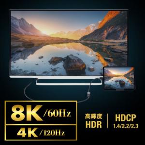 サンワサプライ 直送 USB Type C-H...の詳細画像2
