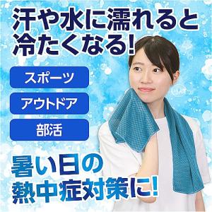 アーテック 冷感タオル 熱中症対策 暑さ対策 ...の詳細画像2