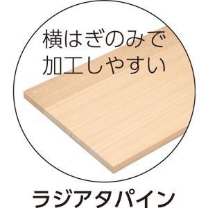 アーテック 時間短縮パインボード(不織布バッグ付)の詳細画像1