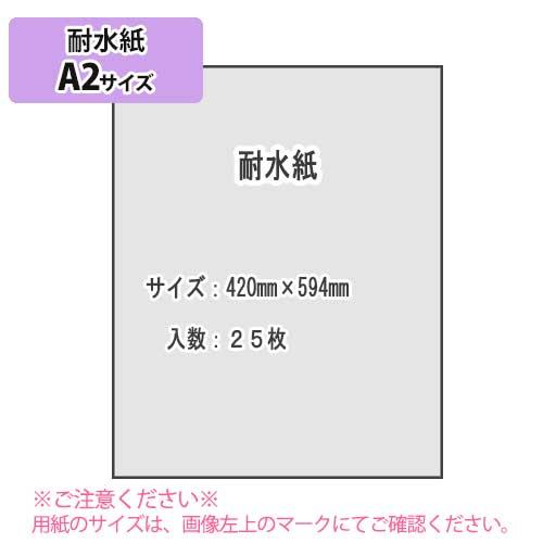 ＳＡＫＡＥ ＴＰ　耐水紙 白紙 128g/m2 A2 25枚