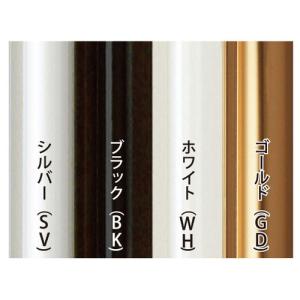 アルテ アルミフレーム スタンダードシェイプ ...の詳細画像1