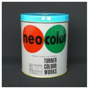 ●ターナー　ネオカラー　６００ｍｌ　缶入り　色番５　Ｂ色（新橋）｜dotkae-ru
