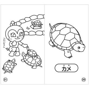 ●サンスター文具 ぬりえでおぼえよう どうぶつ...の詳細画像3