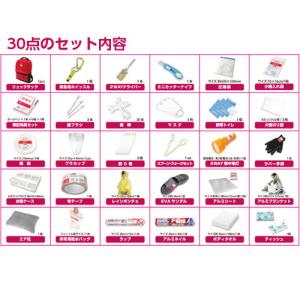 山善 YAMAZEN 防災バッグ30選セット ...の詳細画像1