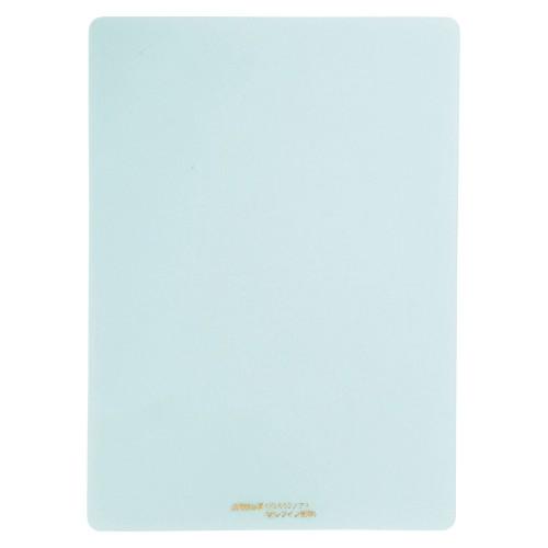 共栄プラスチック　硬筆用ソフト透明下敷 下敷き　B5判（クリアマットグリーン）