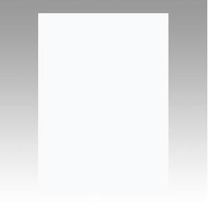 文運堂　ニューカラーＲ　四ツ切（ゆき）