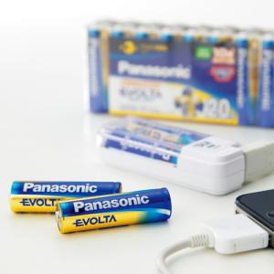 ●パナソニック EVOLTAアルカリ乾電池 形...の詳細画像1