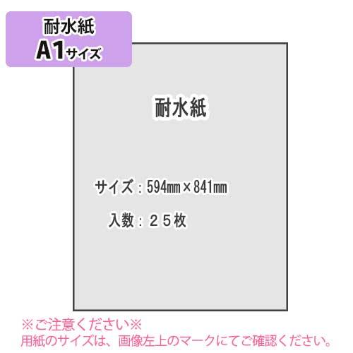 ＳＡＫＡＥ ＴＰ　耐水紙 白紙 128g/m2 A1 25枚