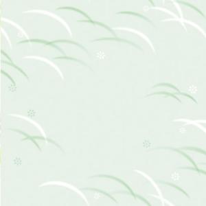 ササガワ 包装紙 佛事用柄 50枚  半才判 偲び草