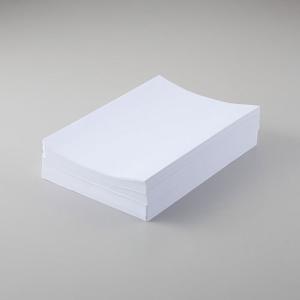 寿堂　紙ホルくん　Ａ４　業務用　印刷できる紙のホルダー（ホワイト）｜dotkae-ru