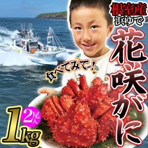 ★数量限定!【漁師直送】花咲ガニ1キロセット |...の商品画像