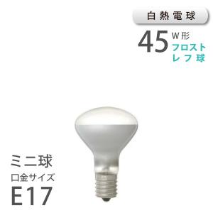 東芝 ネオボールZ 電球型蛍光ランプ 電球100ワットタイプ 昼光色