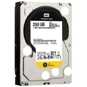 WD 250 GB WD RE SATA III 7200 RPM 64 MB Cache Bulk/OEM Enterprise Hard Driv｜dotsupplyllc