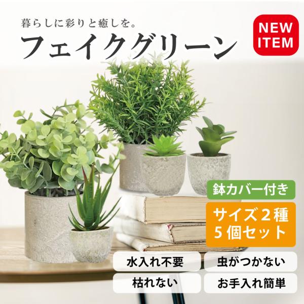 フェイクグリーン５点セット 観葉植物 人工観葉 卓上 ミニ 小さい 光触媒 造花 モンステラ 鉢植 ...