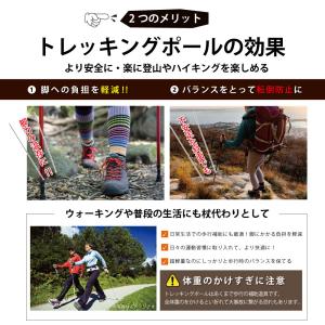 トレッキングポール 折りたたみ 2本セット 伸...の詳細画像3