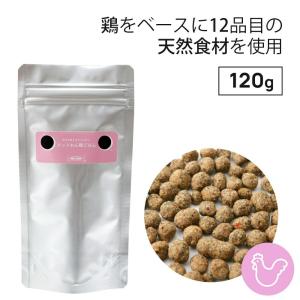 ドッグフード おためし おすすめ 無添加 国産...の詳細画像2