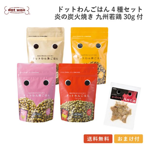 ドッグフード 無添加 国産 おすすめ ドットわんごはん 4種セット 炎の炭火焼き九州若鶏(30ｇ)付...