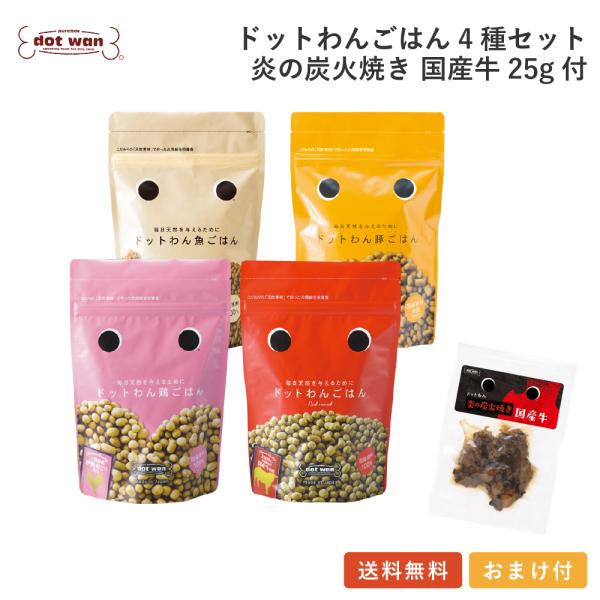 ドッグフード 無添加 国産 おすすめ シニア ドットわんごはん 4種セット 炎の炭火焼き国産牛25g...