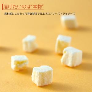 ドッグフード 犬 おやつ 無添加 国産 チーズ...の詳細画像1