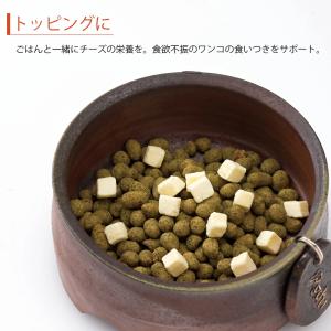 ドッグフード 犬 おやつ 無添加 国産 チーズ...の詳細画像2