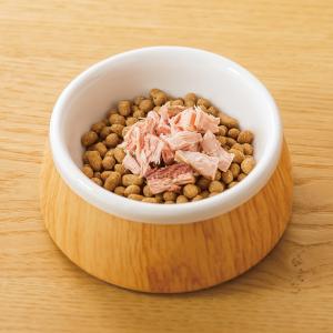 犬 おやつ 無添加 国産ドットわん カツオ薫り...の詳細画像5