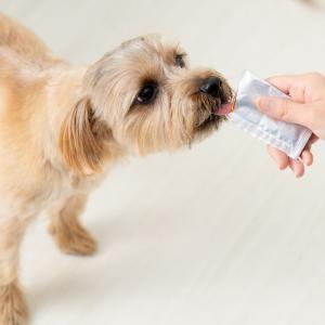 ドッグフード 犬 おやつ 無添加 国産 ドット...の詳細画像2