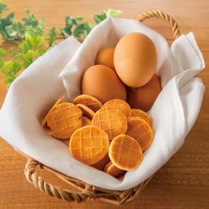 犬 おやつ 無添加 国産 安全 ドットわん平飼...の詳細画像1