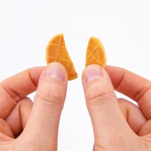 犬 おやつ 無添加 国産 安全 ドットわん平飼...の詳細画像4