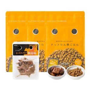 ファーストチョイス 1ST CHOICE ChoiceS ドッグフード 9kg 成犬期 高齢