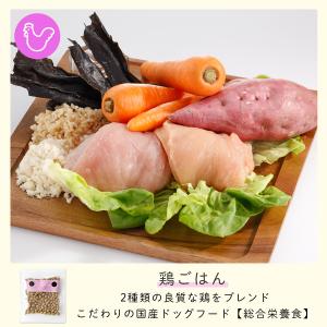 ドッグフード おためし おすすめ シニア ドッ...の詳細画像4