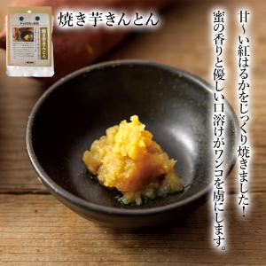 ドッグフード 犬 おやつ 無添加 国産 ドットわんの逸品 焼き芋きんとん 33g いぬ おやつ いも 焼き芋 全犬種 全年齢対応