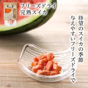 ドッグフード 犬 おやつ 無添加 国産 ドットわんの逸品 フリーズドライ完熟スイカ トッピング おやつ フリーズドライ スイカ 全犬種 全年齢 対応
