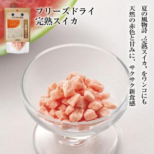 ドッグフード 犬 おやつ 無添加 国産 ドットわんの逸品 フリーズドライ完熟スイカ トッピング おやつ フリーズドライ スイカ 全犬種 全年齢 対応