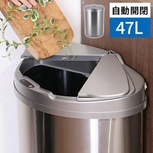 WESCO プッシュビン PUSHBOY (プッシュボーイ) 50L プッシュ式 ゴミ箱