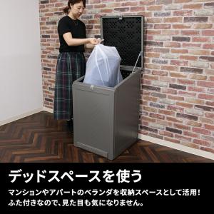 収納 屋外 ゴミ箱 収納庫 大型 屋外収納 戸...の詳細画像5