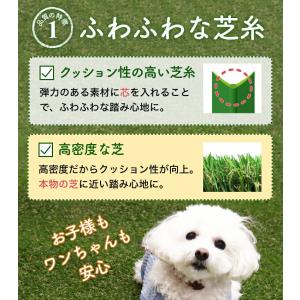 人工芝 ロール 1m×10m メモリーターフ ...の詳細画像3
