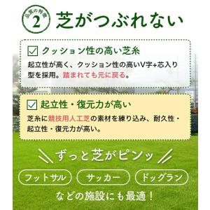 人工芝 ロール 1m×10m メモリーターフ ...の詳細画像5