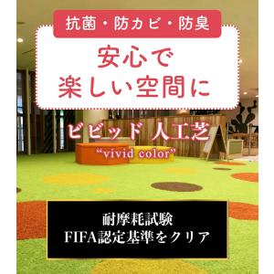 人工芝 1m×10m ロール 人工芝生 カラー...の詳細画像3