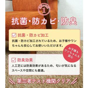 人工芝 1m×10m ロール 人工芝生 カラー...の詳細画像4