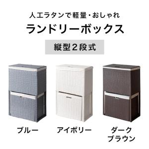 収納 ランドリーバスケット 薄型 幅25cm ...の詳細画像1