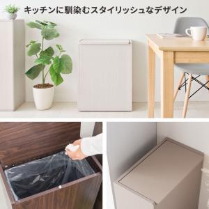 ゴミ箱 45リットル キッチン スリム 蓋付き...の詳細画像2
