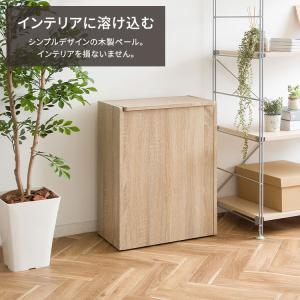 ゴミ箱 45リットル キッチン スリム 蓋付き...の詳細画像1