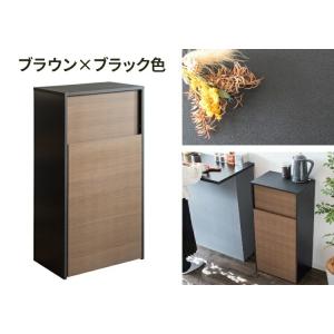 ゴミ箱 45L 45リットル 薄型 スリム ダ...の詳細画像2