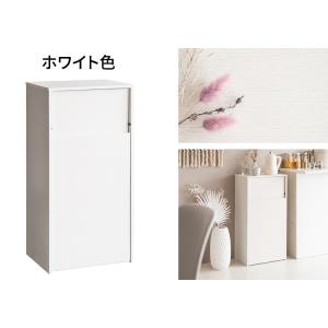 ゴミ箱 45L 45リットル 薄型 スリム ダ...の詳細画像4