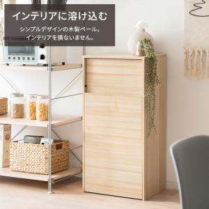 ゴミ箱 45L 45リットル 薄型 スリム ダ...の詳細画像5