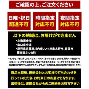 ベッド シングル フレーム パイプ スチール ...の詳細画像1