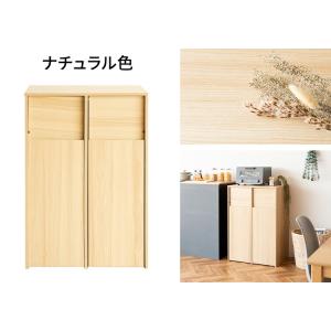 ゴミ箱 45リットル おしゃれ 分別 キッチン...の詳細画像2