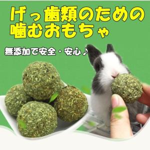 ウーリー ワイルドイタリアン 400g 「無選別」 : うさぎ専門店の食彩