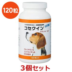 日本全薬 【あすつく】『ジルケーン 225mg (30粒)×1個』【賞味期限